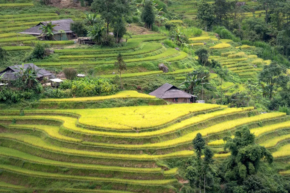 Kho gạo xếp bao