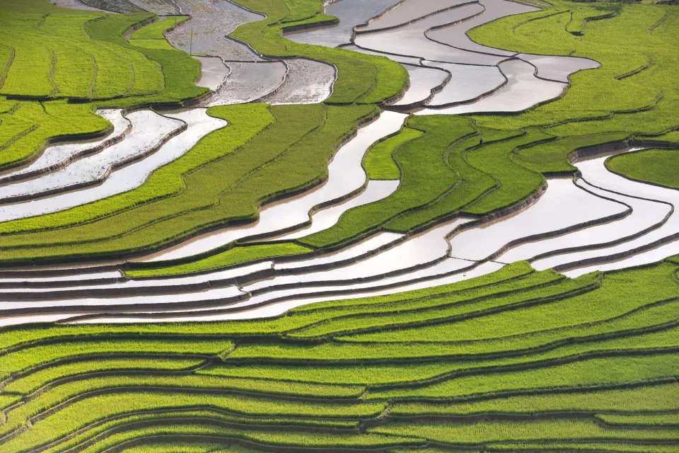 Kho gạo của Lê Xuân Vinh
